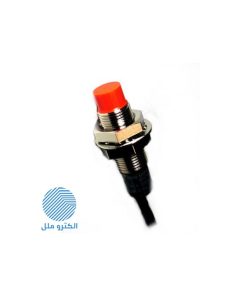 سنسور القایی PR12-4DP