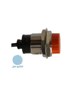 سنسور القایی دو سیمه PR30-15AC