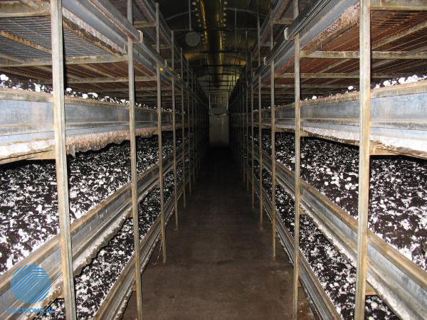 Fotek humidity controller DPM-1-S